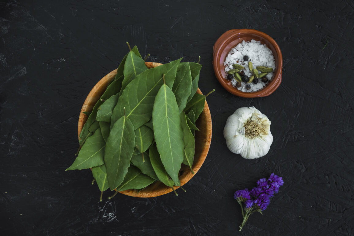curry leaves for hair