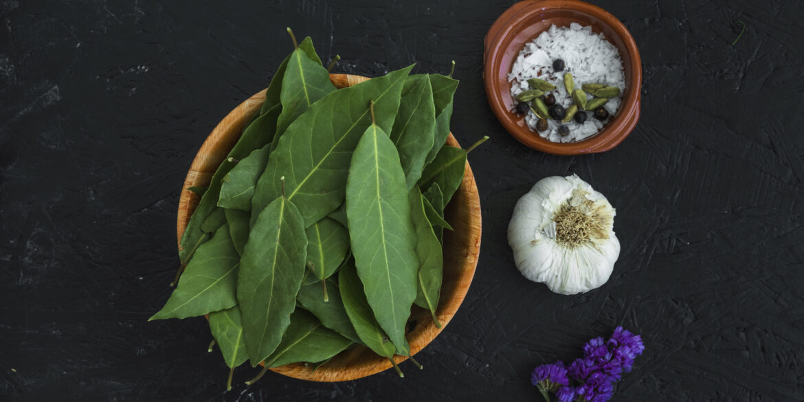 curry leaves for hair