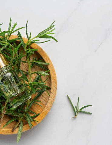 Bhringraj vs Rosemary oil: which is better for hair fall