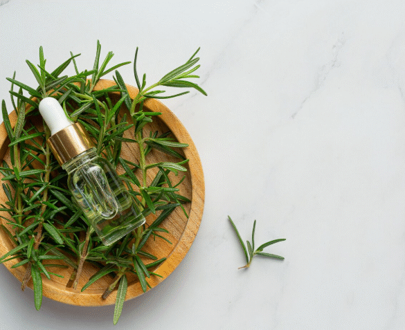 Bhringraj vs Rosemary oil: which is better for hair fall