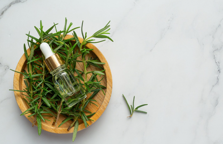 Bhringraj vs Rosemary oil: which is better for hair fall