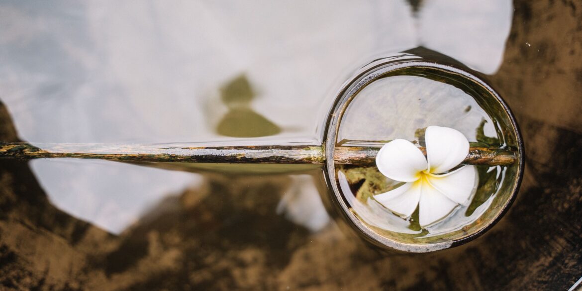 a flower on a utensil