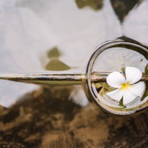 a flower on a utensil