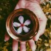 flower in a bowl of liquid on a hand