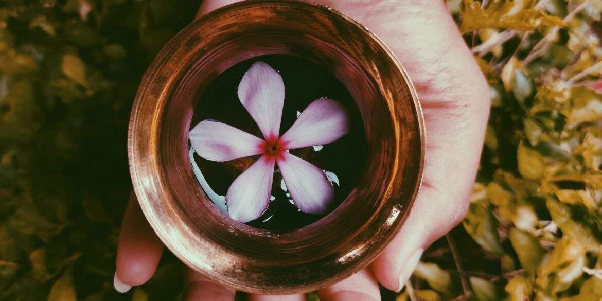 flower in a bowl of liquid on a hand