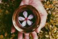 flower in a bowl of liquid on a hand