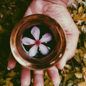 flower in a bowl of liquid on a hand