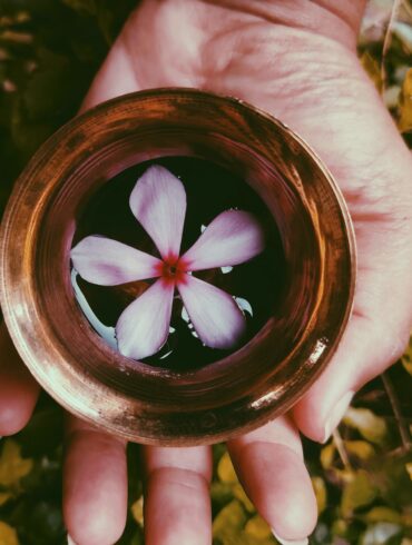 flower in a bowl of liquid on a hand