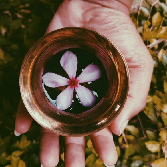 flower in a bowl of liquid on a hand