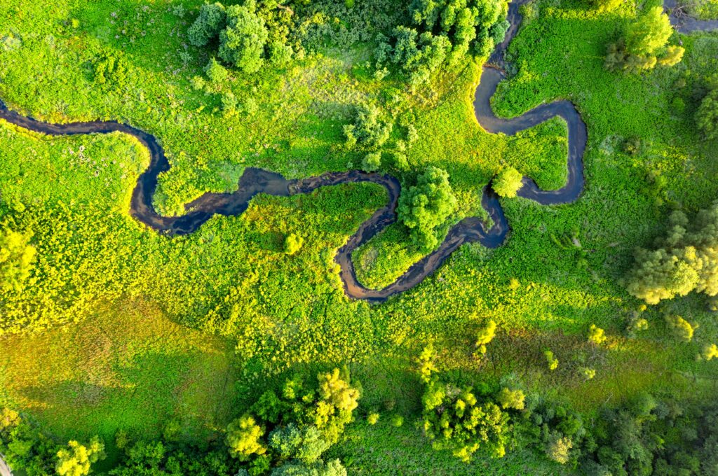 Biodiversity Healthcare