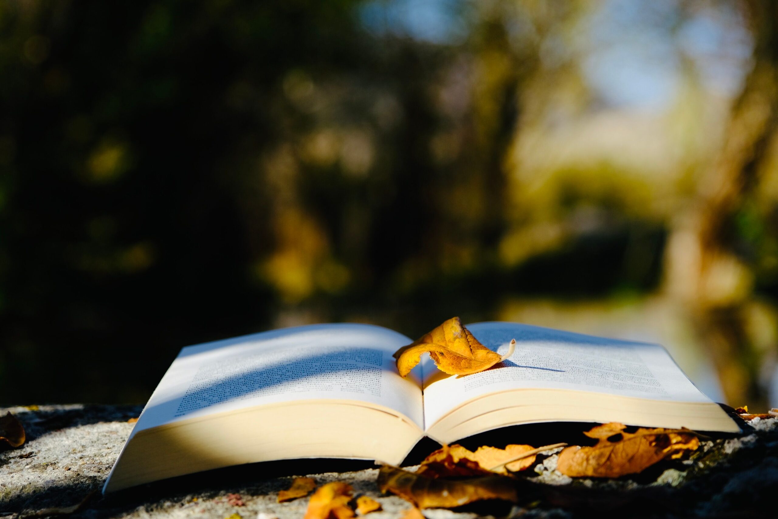 book laid out in nature and a flower between pages symbolizing Forgotten Wisdom of Ayurveda