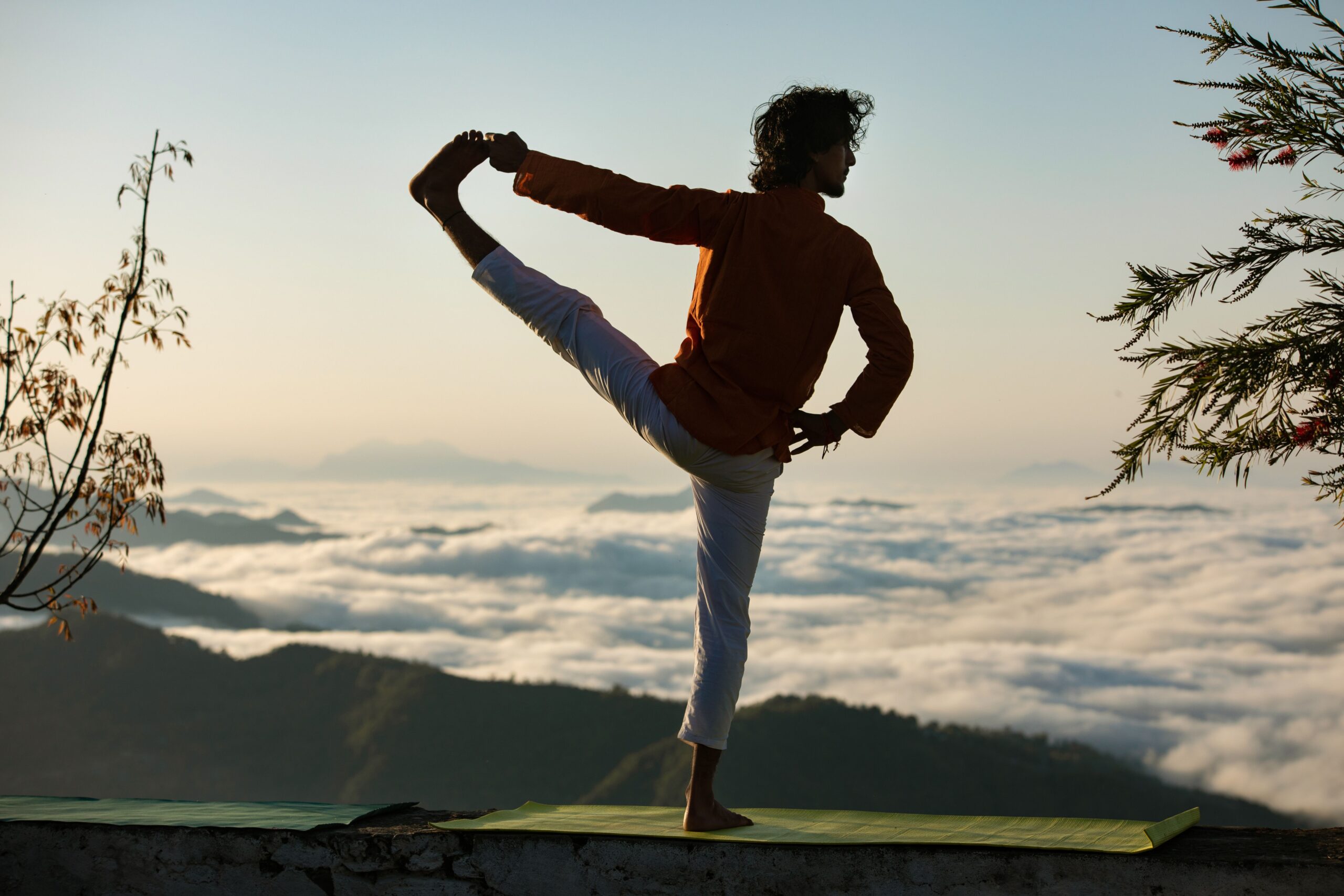 yoga pose in nature for Ayurvedic Fitness for Busy Professionals