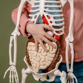 a man holding a plastic science skeleton specimen