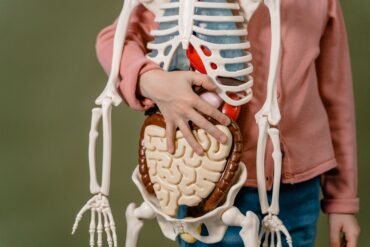 a man holding a plastic science skeleton specimen