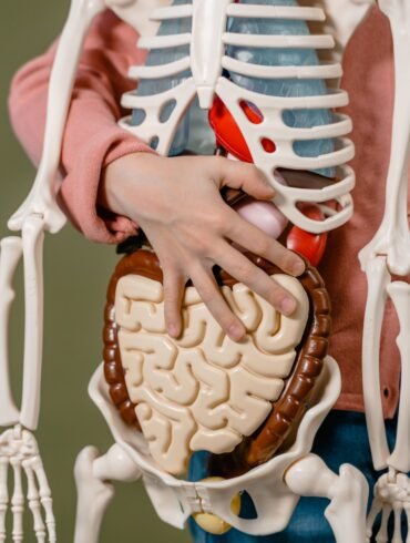 a man holding a plastic science skeleton specimen