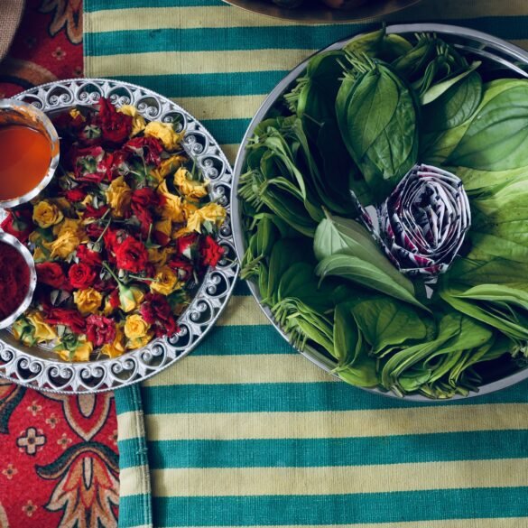 indian spices and herbs for ayurvedic wellness